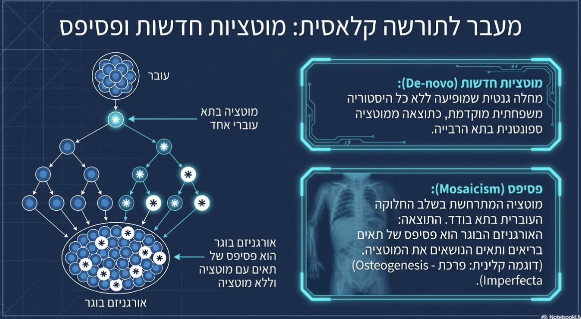 מצגת 5